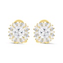 Sterling Silver 925 Earring Gold Plated Embedded With Yellow Zircon And White Zircon