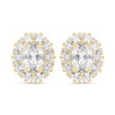 Sterling Silver 925 Earring Gold Plated Embedded With Yellow Zircon And White Zircon