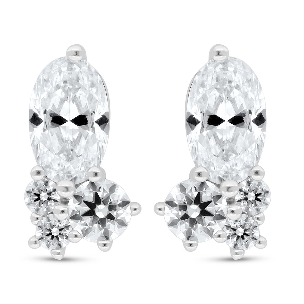 Sterling Silver 925 Earring Rhodium Plated Embedded With White Zircon