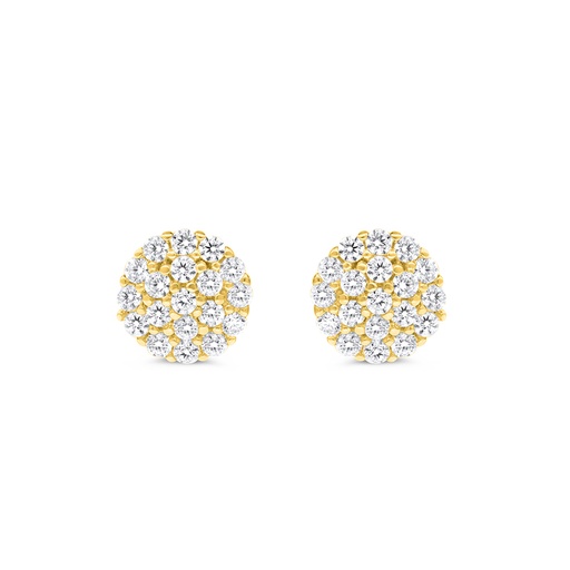[EAR02WCZ00000B660] Sterling Silver 925 Earring Gold Plated