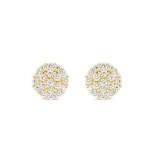 [EAR02WCZ00000B660] Sterling Silver 925 Earring Gold Plated