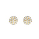 Sterling Silver 925 Earring Rhodium And Gold Plated