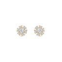 Sterling Silver 925 Earring Rhodium And Gold Plated