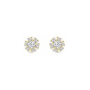 Sterling Silver 925 Earring Rhodium And Gold Plated