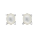 Sterling Silver 925 Earring Embedded With Natural White Shell