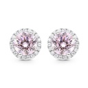 Sterling Silver 925 Earring Rhodium Plated Embedded With Pink Zircon And White CZ