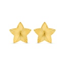Sterling Silver 925 Earring Gold Plated