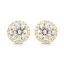Sterling Silver 925 Earring Gold Plated Embedded With Yellow Zircon And White CZ