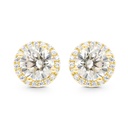 Sterling Silver 925 Earring Gold Plated Embedded With Yellow Zircon And White CZ