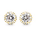 Sterling Silver 925 Earring Gold Plated Embedded With White CZ