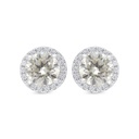 Sterling Silver 925 Earring Rhodium Plated Embedded With Yellow Zircon And White CZ