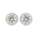 Sterling Silver 925 Earring Rhodium Plated Embedded With Yellow Zircon And White CZ