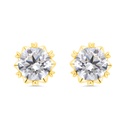 Sterling Silver 925 Earring Gold Plated Embedded With White Zircon 