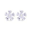 Sterling Silver 925 Earring Rhodium Plated Embedded With White Zircon