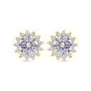 Sterling Silver 925 Earring Gold Plated Embedded With White Zircon