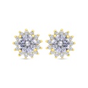 Sterling Silver 925 Earring Gold Plated Embedded With White Zircon