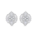 Sterling Silver 925 Earring Rhodium Plated Embedded With White Zircon