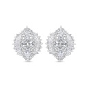 Sterling Silver 925 Earring Rhodium Plated Embedded With White Zircon