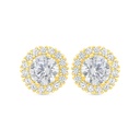 Sterling Silver 925 Earring Gold Plated Embedded With White Zircon