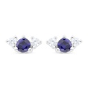 Sterling Silver 925 Earring Rhodium Plated Embedded With Sapphire Corundum And White Zircon