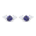 Sterling Silver 925 Earring Rhodium Plated Embedded With Sapphire Corundum And White Zircon