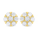 Sterling Silver 925 Earring Golden Plated Embedded With White Zircon