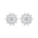 Sterling Silver 925 Earring Rhodium Plated Embedded With White Zircon