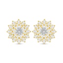 Sterling Silver 925 Earring Golden Plated Embedded With White Zircon