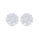 Sterling Silver 925 Earring Rhodium Plated Embedded With White Zircon