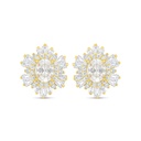 Sterling Silver 925 Earring Golden Plated Embedded With White Zircon
