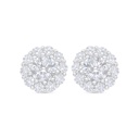 Sterling Silver 925 Earring Rhodium Plated Embedded With White Zircon