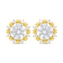 Sterling Silver 925 Earring Golden Plated Embedded With White Zircon